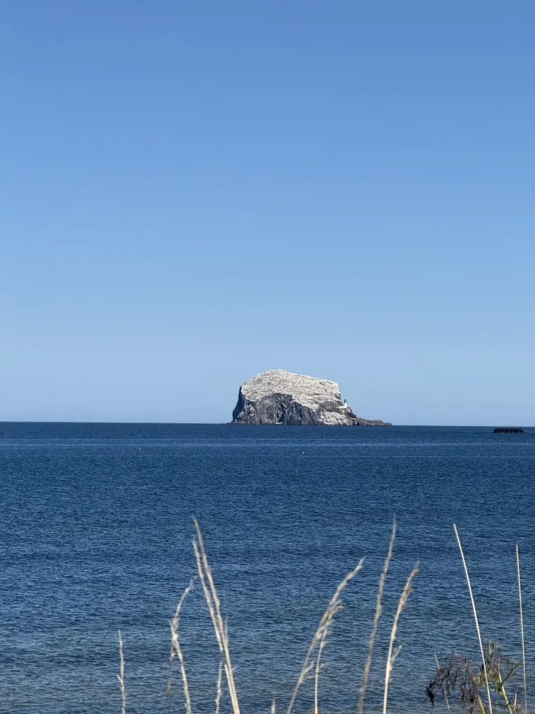The Bass Rock off North Berwick, home to the world largest northern gannet colony