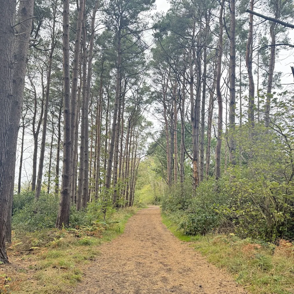 John Muir way - Belhaven and Dunbar