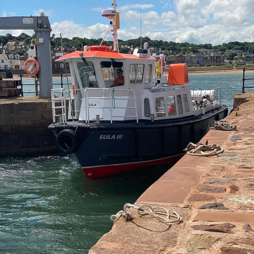 sula boat trips in North Berwick